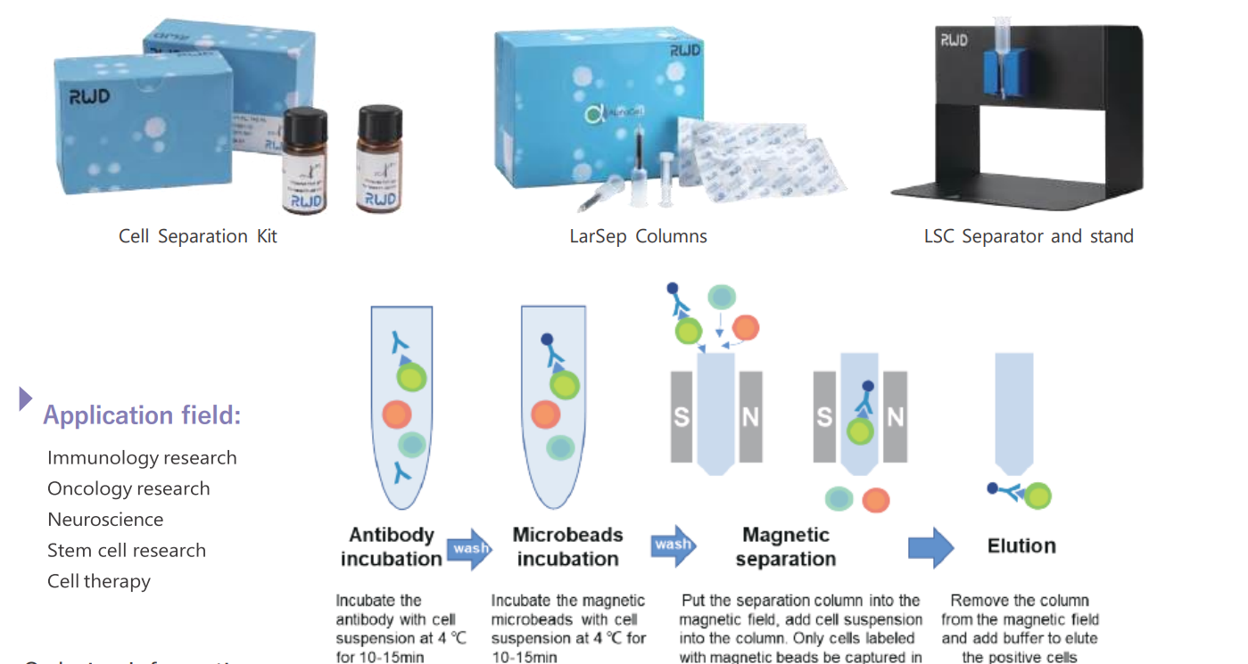 Nano-Beads Cell Separation Nano-Beads Cell Separation