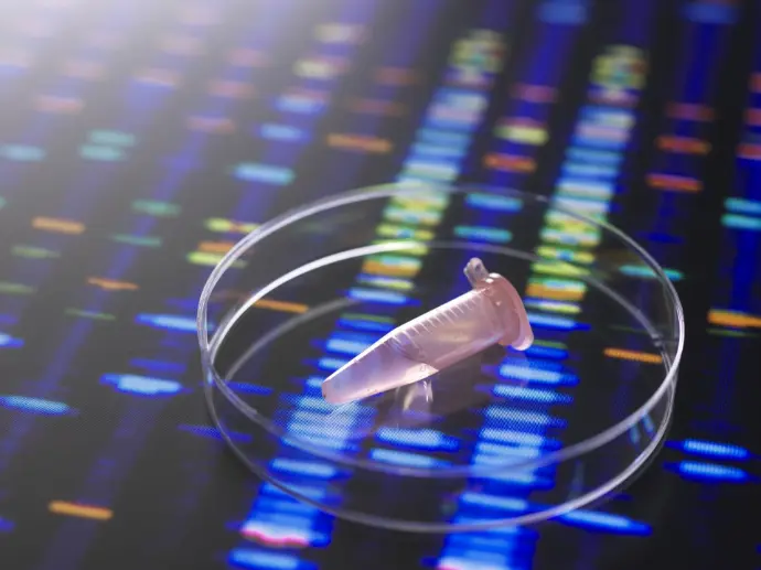 20.20 Horizontal DNA Gel Box